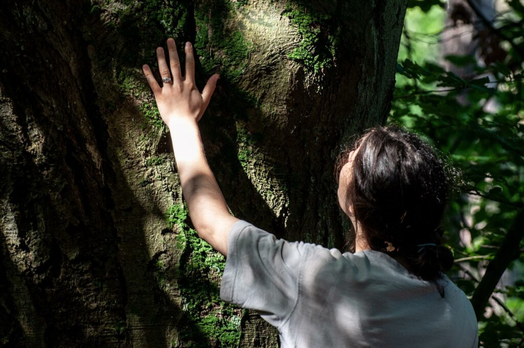 Die Hand am Baum, das Herz im Licht, so wird das Baumflüstern zu einer wahren Geschicht.